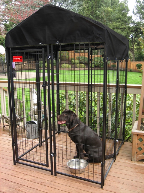 Lucky Dog 6&apos;h X 4&apos;w X 4&apos;l Uptown Welded Wire Kennel W/cover And Frame-cl 60544