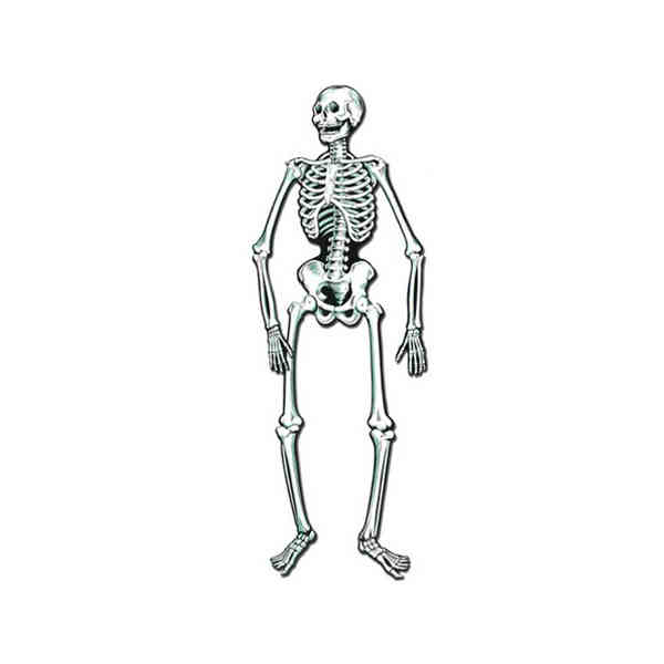 Jointed Skeletons - Pack Of 24