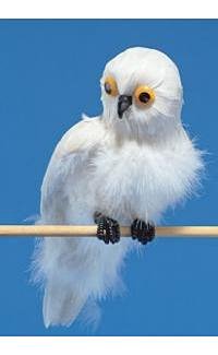 Peter Alan 7687W White Owl Costume Accessory - 22 Inches