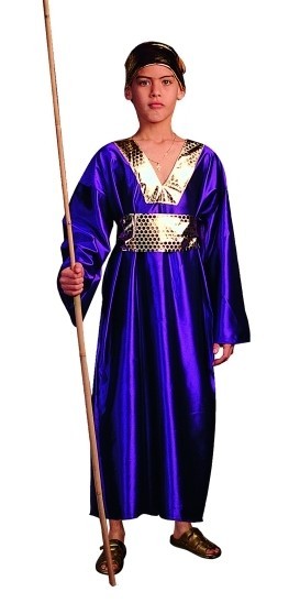 90181-M Wiseman Costume - Purple - Size Child Medium 8-10