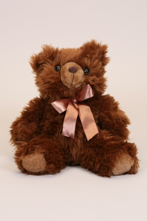 20031 - Junior Chocolate Bear