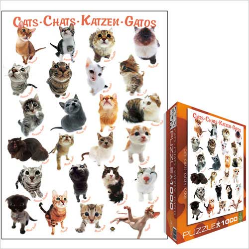 EuroGraphics 60001511 Morito Cat Breeds Jigsaw Puzzle