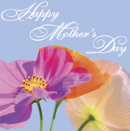Creative Converting Happy Mother and apos;s Day Spring Petals 3-Ply Lunch Napkin - 192 Count