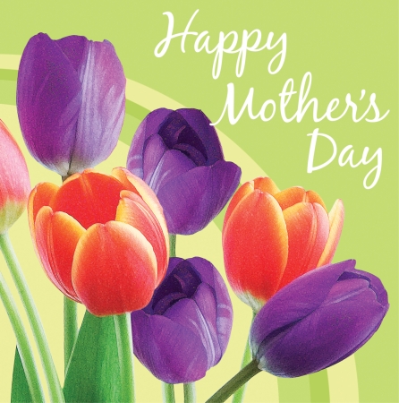 Creative Converting Happy Mother and apos;s Day Blooming Tulips 3-Ply Lunch Napkin - 192 Count