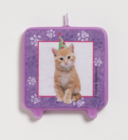 Creative Converting Cuddly Kitten Birthday Candle - 12 Count