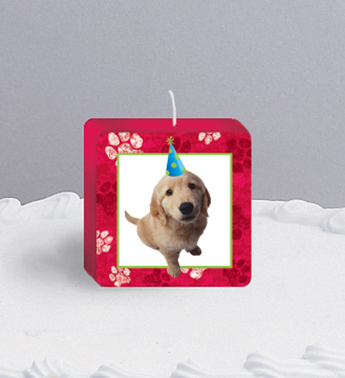 Creative Converting Puppy Party Birthday Candle - 12 Count