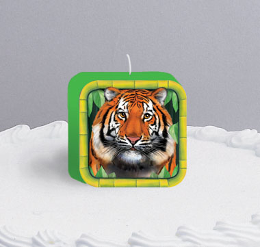 Creative Converting Wild Animals Birthday Candle - 12 Count