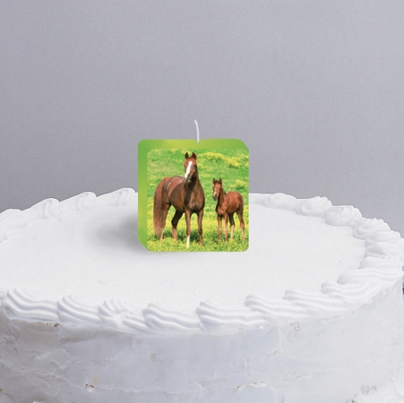 Creative Converting Wild Horses Birthday Candle - 12 Count