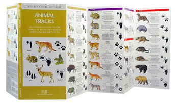Wfp1583550724 Animal Tracks Book