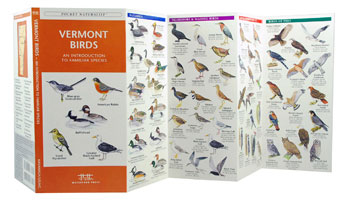 Wfp1583552209 Vermont Birds Book: An Introduction To Familiar Species