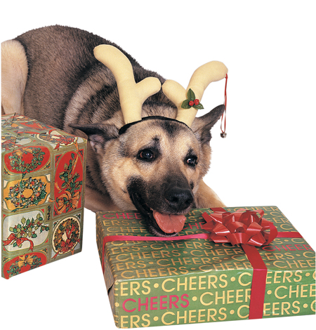 Costumes For All Occasions RU432 Reindeer Dog Antlers