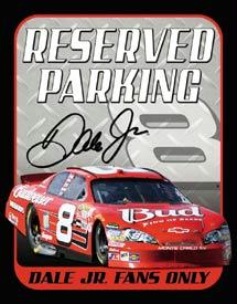 Tin Sign Dale Jr.