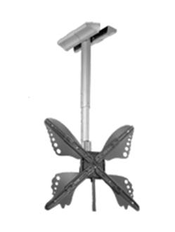 Barkan 45