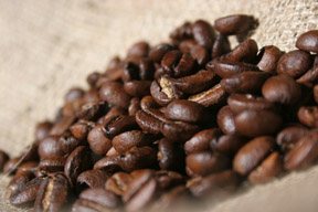 Good Dog Coffee DS - 5lb USDA Organic Fairtrade and Shade Grown Coffee Beans- Vienna- Medium- Whole Beans