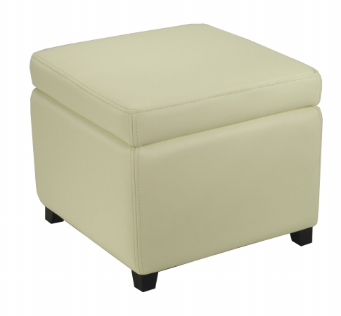 Safavieh Hud4007D Jonathan Off White Flip-Top Ottoman