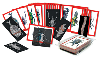 . R-5912 Insect X-rays And Picture Cards