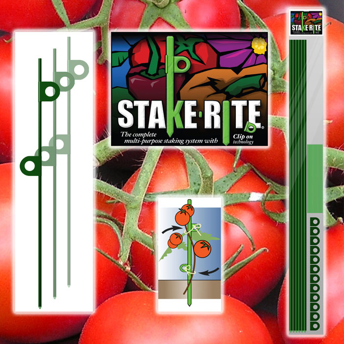 Garden Stake Kit  Tomato Stakes  6 Stakes plus Accessories