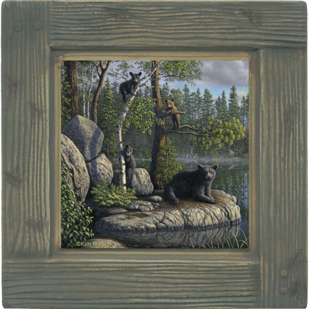 Thirstystone AMNK1 Absorbent Coaster Set Bears- Lodge