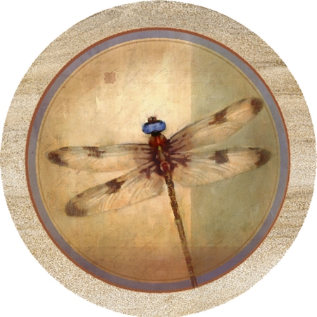Thirstystone TS2129 Natural Sandstone Coaster Set Dragonfly Parchment
