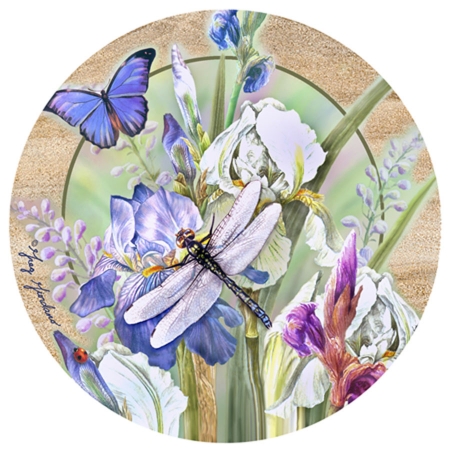 Thirstystone TSGG8 Natural Sandstone Coaster Set Dragonfly & Iris I