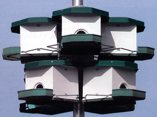 H-F Quad Pod Purple Martin Bird House