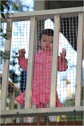 Cardinal Gates DS50-CL 50 Roll - Outdoor Netting -... by Cardinal Gates