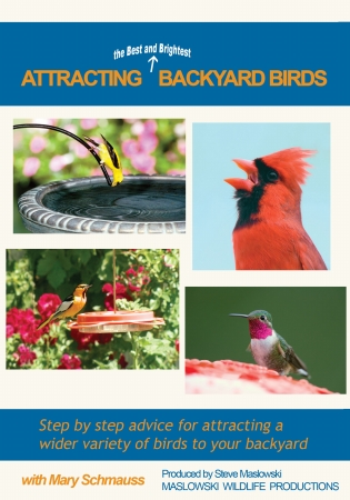 Masma123dvd Attracting The Best And Brightest Birds Video