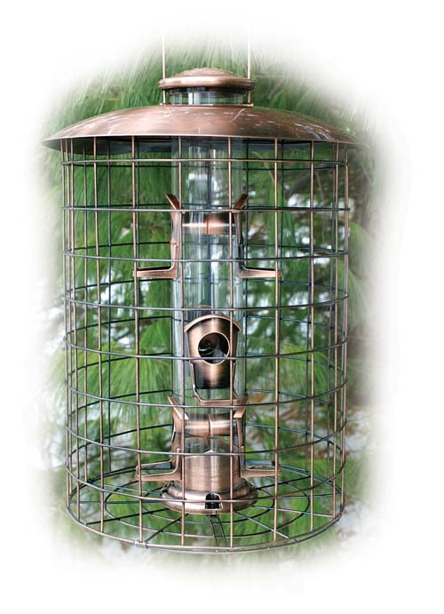 Wlcopcage6s Coppertop Cages 6 - Port Seed Feeder
