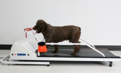 Gopet Pr700 Dog Treadmill - For Dogs Up To 45 Pounds