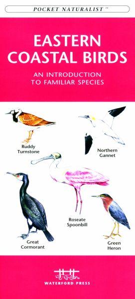 Wfp1583551097 Eastern Coastal Birds Book: An Introduction To Familiar Species (regional Nature Guides)