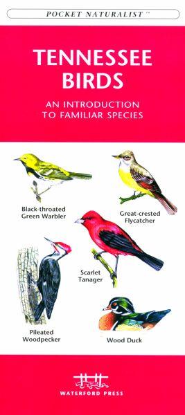 Wfp1583551172 Tennessee Birds Book: An Introduction To Familiar Species (state Nature Guides)