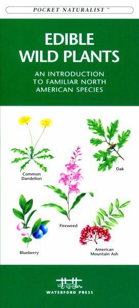 Wfp1583551271 Edible Wild Plants Book