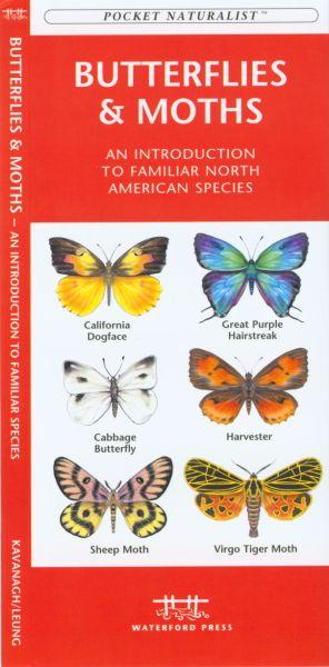 Wfp1583551295 Butterflies And Moths Book: An Introduction To Familiar North American Species (north American Nature Guides)