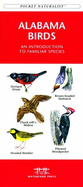 Wfp1583551301 Alabama Birds Book: An Introduction To Familiar Species (a Pocket Naturalist Guide)