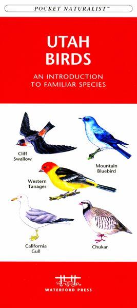 Wfp1583551325 Pocket Naturalist: Utah Birds