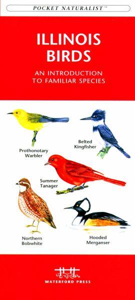 Wfp1583551448 Illinois Birds Book: An Introduction To Familiar Species (state Nature Guides)