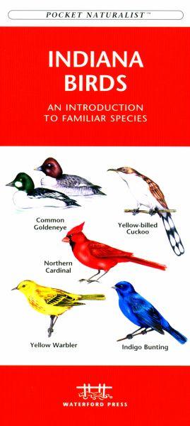 Wfp1583551455 Indiana Birds Book: An Introduction To Familiar Species (state Nature Guides)