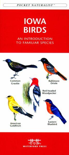 Wfp1583551462 Iowa Birds Book: An Introduction To Familiar Species