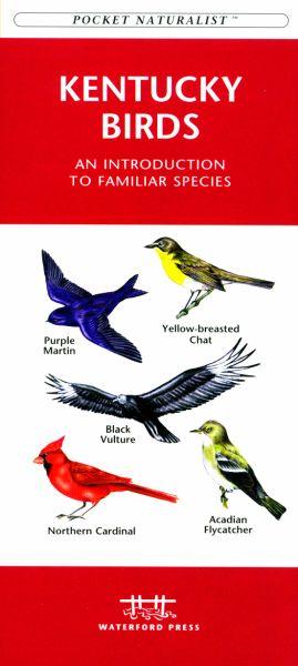 Wfp1583551479 Kentucky Birds Book: An Introduction To Familiar Species (state Nature Guides)