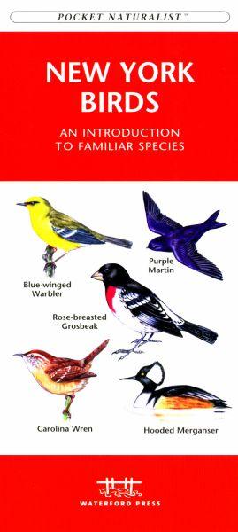Wfp1583551592 New York State Birds Book: An Introduction To Familiar Species