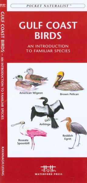 Wfp1583551622 Gulf Coast Birds Book: An Introduction To Familiar Species (regional Nature Guides)