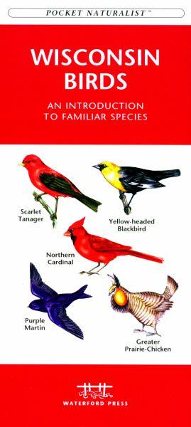 Wfp1583551707 Wisconsin Birds Book (pocket Naturalist - )