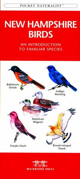 Wfp1583551714 New Hampshire Birds Book: An Introduction To Familiar Species (state Nature Guides)