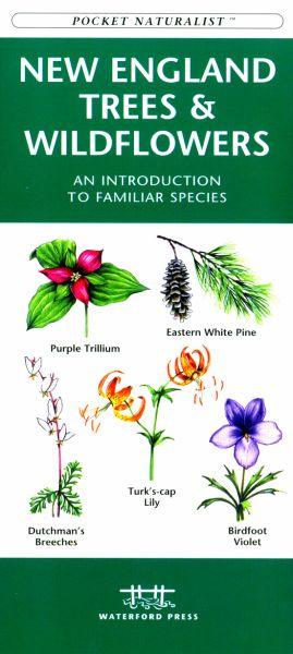 New England Trees Amp; Wildflowers Book