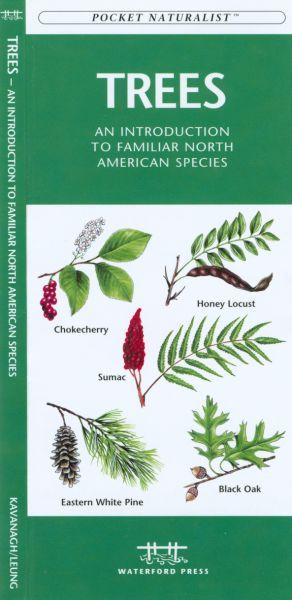 Wfp1583551783 Trees Book: An Introduction To Familiar North American Species