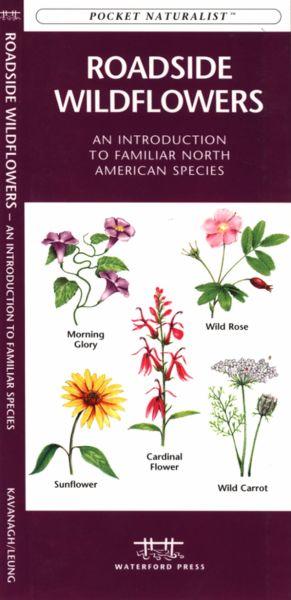 Wfp1583551790 Roadside Wildflowers Book: An Introduction To Familiar North American Species (north American Nature Guides)