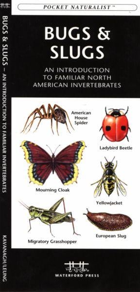 Wfp1620052860 Bugs Ang Slugs: An Introduction To Familiar North American Invertebrates (north American Nature Guides)