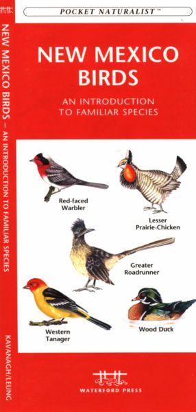 Wfp1583551875 New Mexico Birds Book: An Introduction To Familiar Species (state Nature Guides)