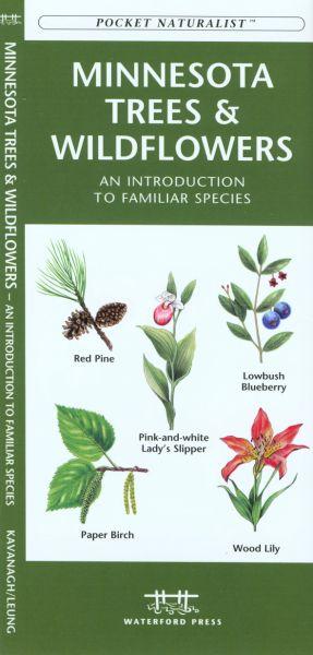 Minnesota Trees Amp; Wildflowers Book