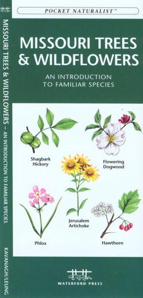 Missouri Trees Amp; Wildflowers Book